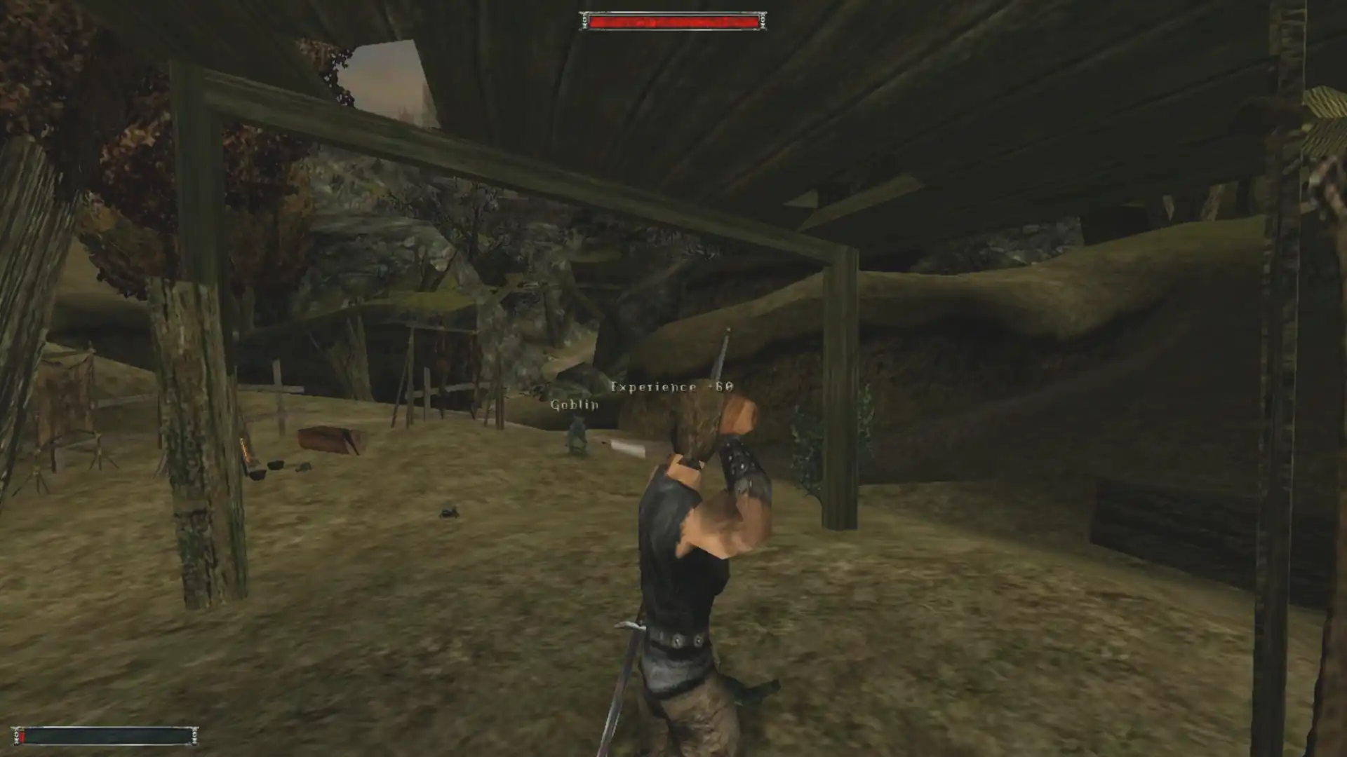 Punct ochit, goblin lovit. Punct ochit, goblin lovit.