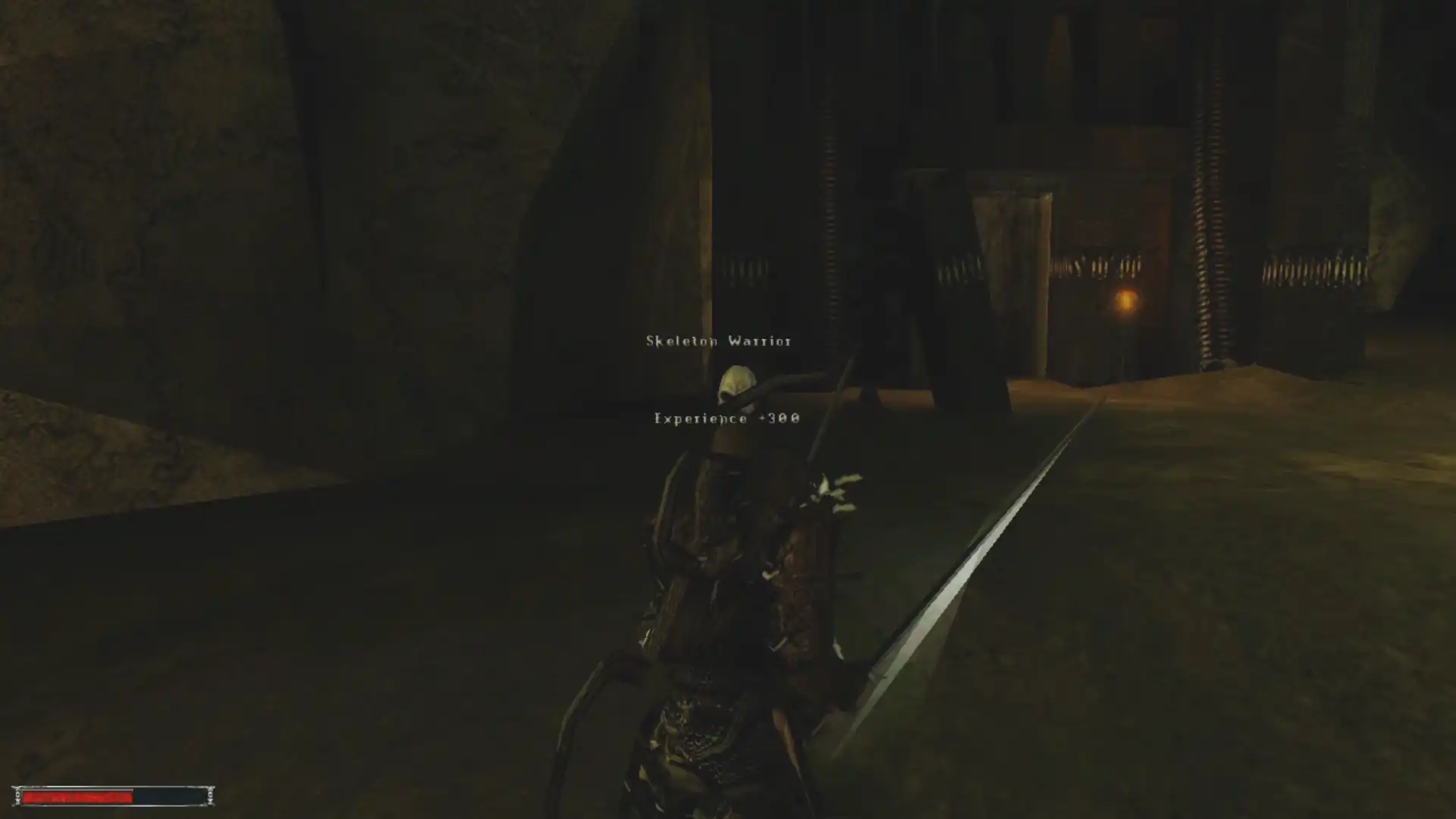 Orice RPG care se respectă are catacombe și scheleți. Orice RPG care se respectă are catacombe și scheleți.